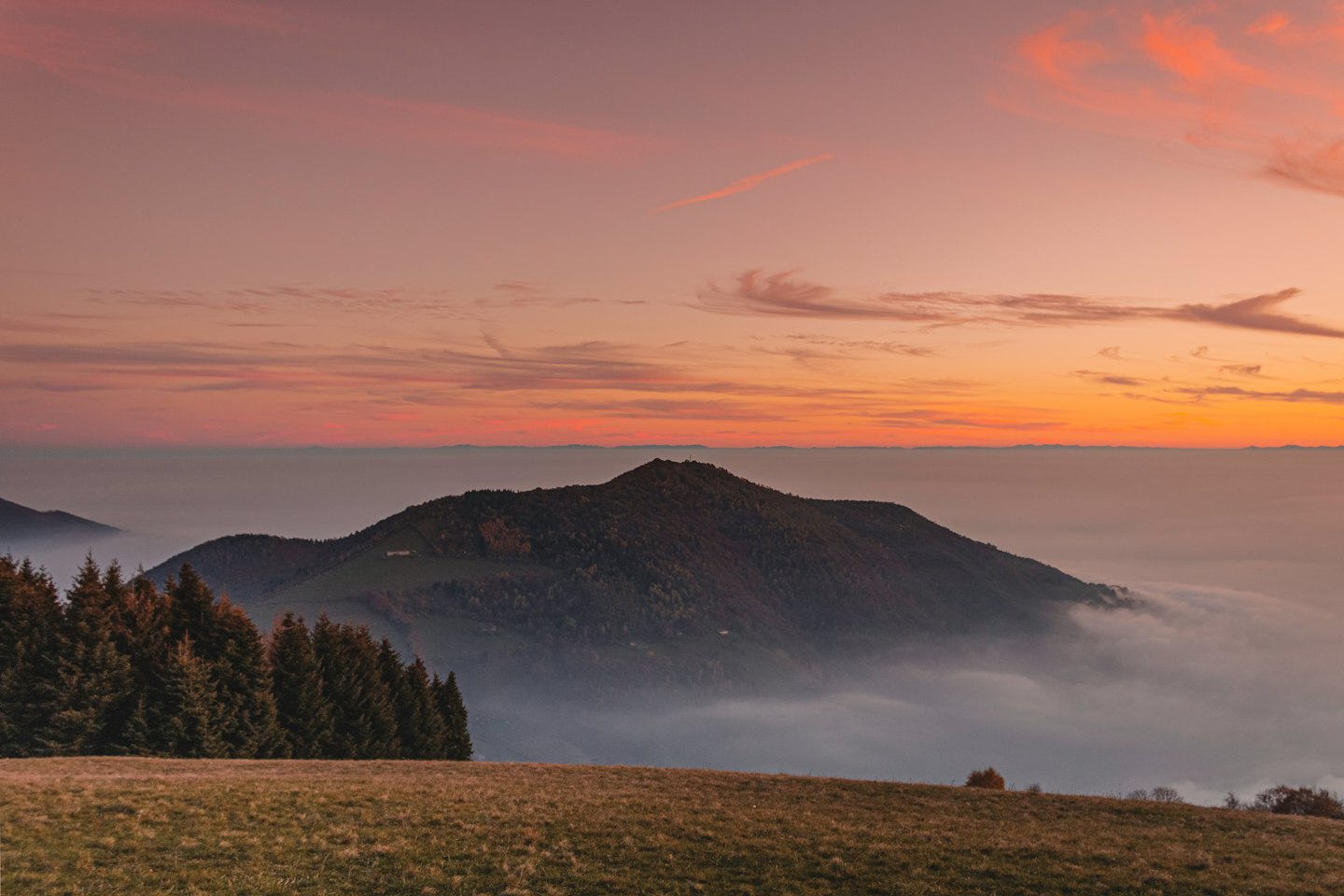 Mist settles over evergreen trees nestled among rolling mountain ranges.