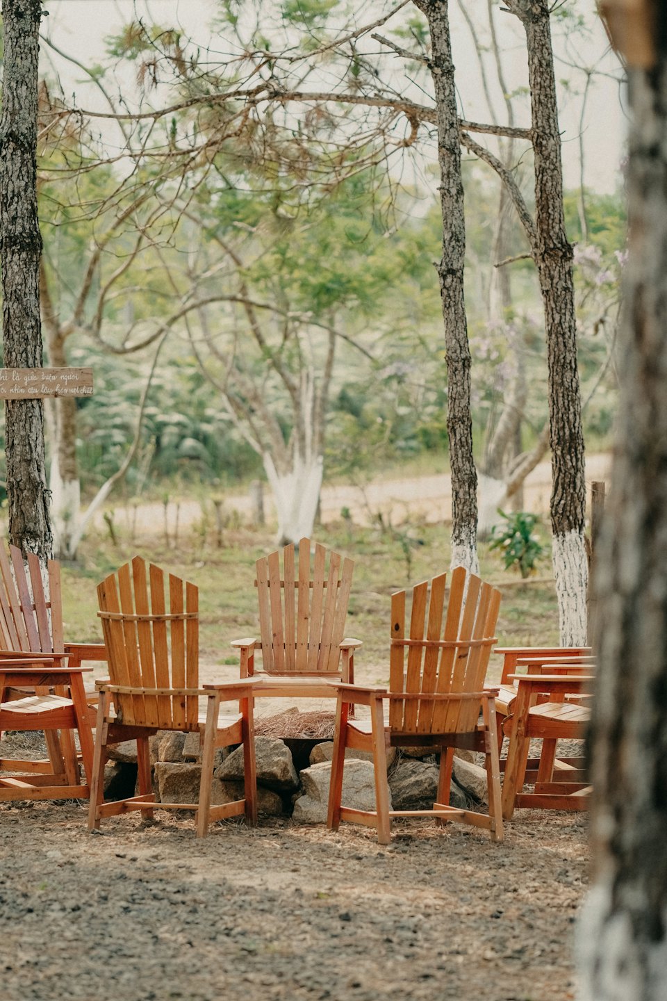 Wooden Adirondack chairs surround a stone fire pit among pine trees.
